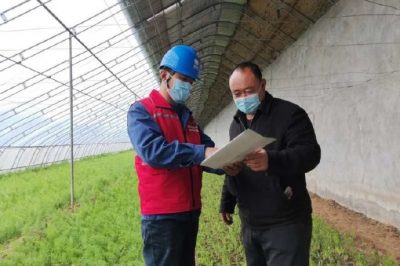 安全用電進大棚，助力農戶穩增收