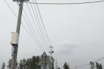 對(duì)位于稻田里的10千伏線路開展特巡