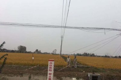 積極組織臺區經理對線路設備進行專項巡視檢查