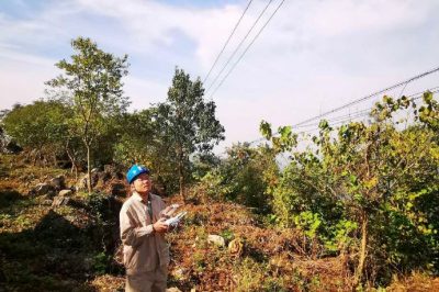 無人機配電線路巡檢 智能技術保障電網安全