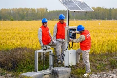 服務有機水稻農場