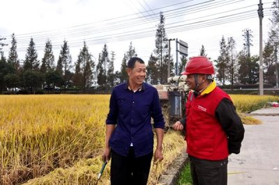 對涉農電氣設備、線路進行特維特巡
