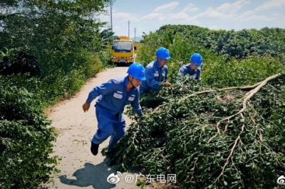 對轄區內配網線路進行特殊巡視