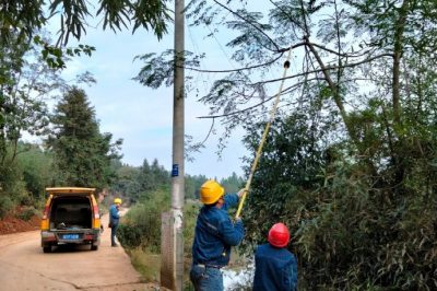 10千伏貫沖線進行巡視工作