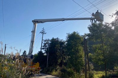 在10千伏官坪線46-49號桿附近進行帶電砍青