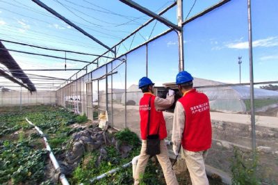 迎峰度冬早準備??“黨員服務隊”走進大棚種植戶