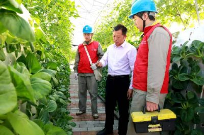 農村配網改造推動農業轉型升級