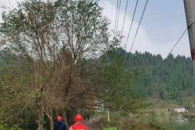 對10千伏杜民線和10千伏杜綿線進行特巡