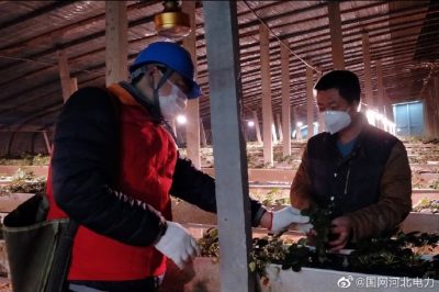 為果蔬大棚檢查供電線路、開關、照明燈具，以及水泵、卷簾機等設備