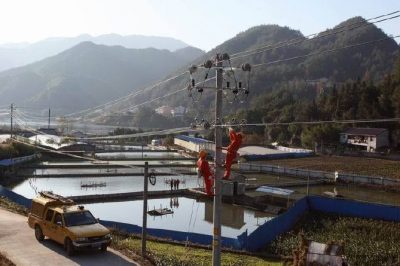 上門為魚庫檢查用電安全、供電線路、自備發電機等設備