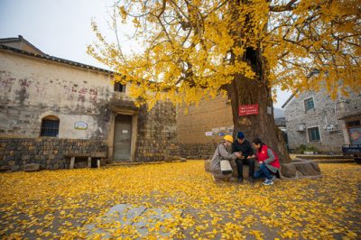 政企網格化共建 擦亮鄉村新底色