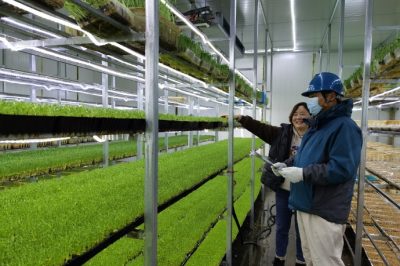 助力綠色產業發展供電優質服務先行