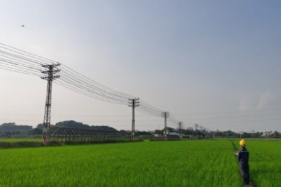 東莞東城周屋水稻示范區 開展配網線路精細化巡檢