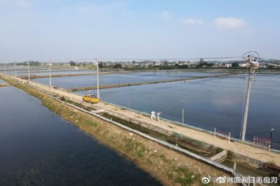 漣水縣金綠園水產(chǎn)養(yǎng)殖場(chǎng)架設(shè)10千伏線路