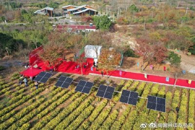 江蘇首個“茶光互補”源荷儲光協同自治臺區竣工典禮